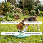 Interactive Treat Puzzle Dog Toy