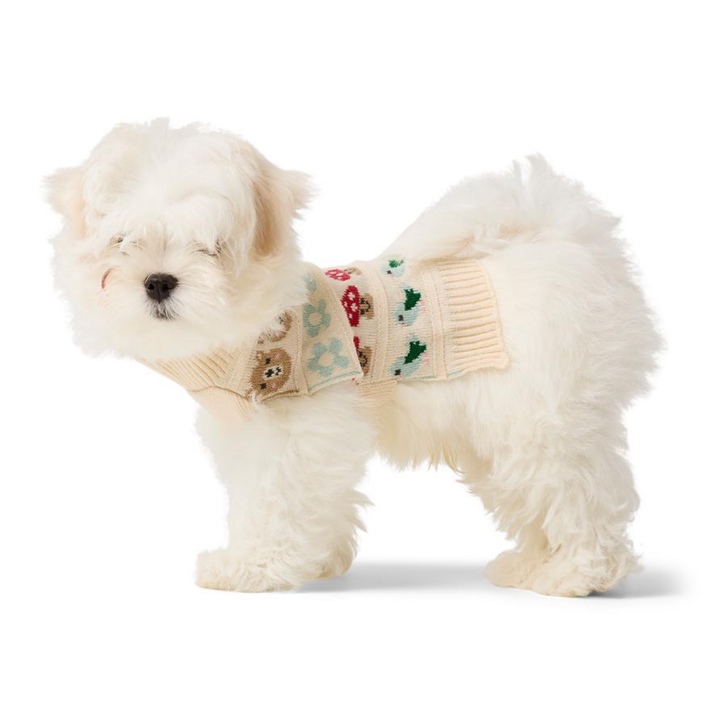 Whimsical Knit Pet Sweater
