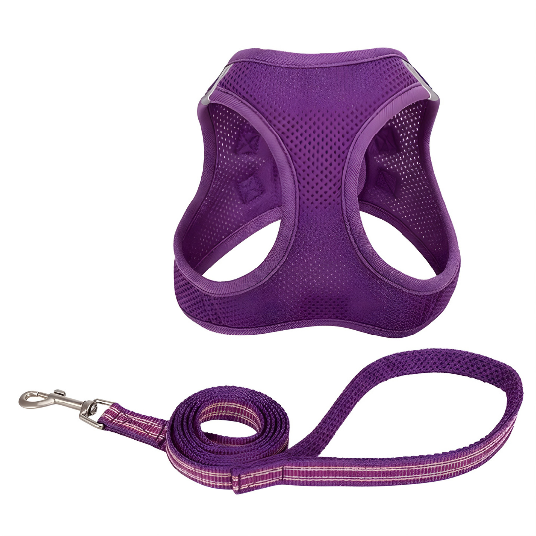 Purple Mesh Harness & Leash Set