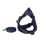 Black Mesh Pet Harness
