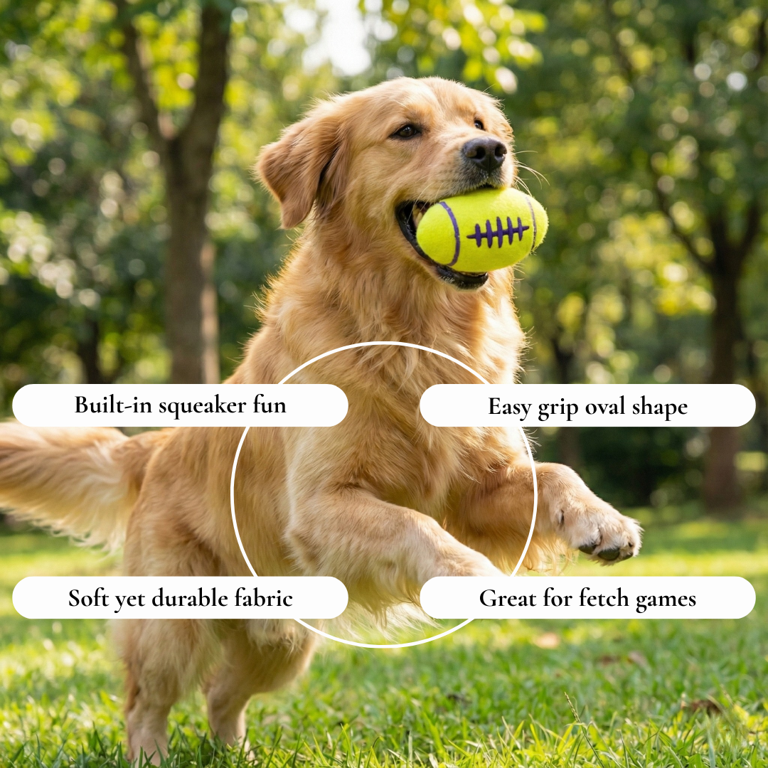 Squeaky Rugby Dog Toy