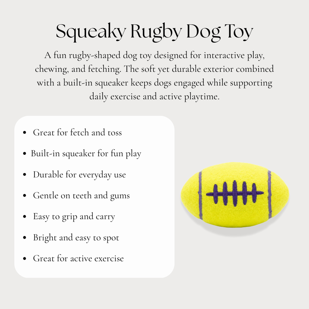 Squeaky Rugby Dog Toy