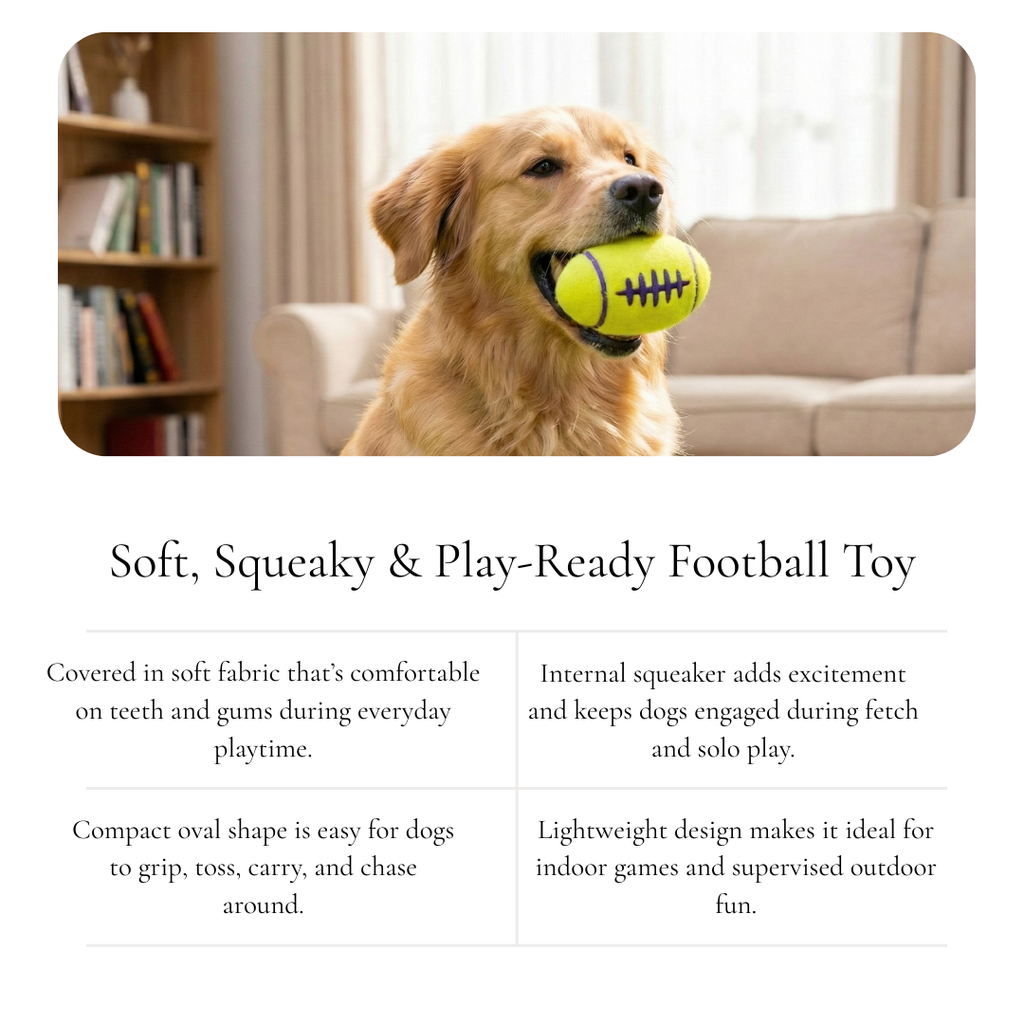 Squeaky Rugby Dog Toy