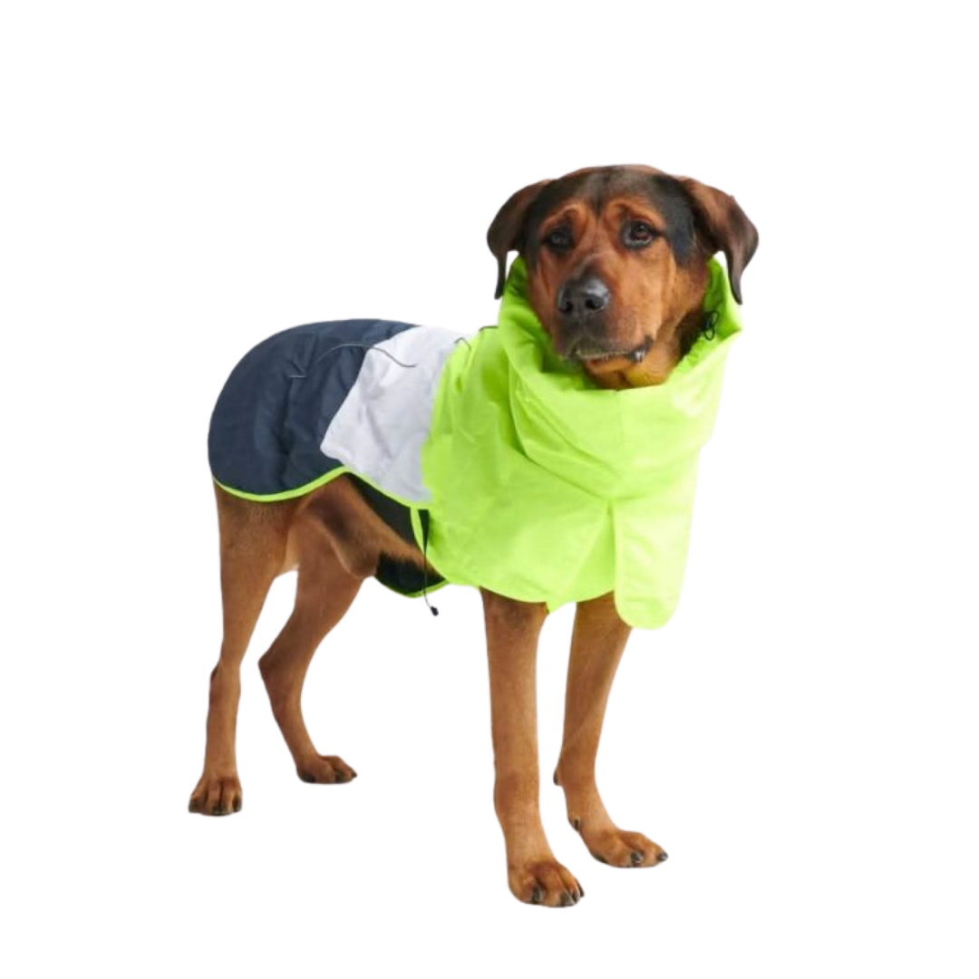 Colourblock hooded Dog Coat