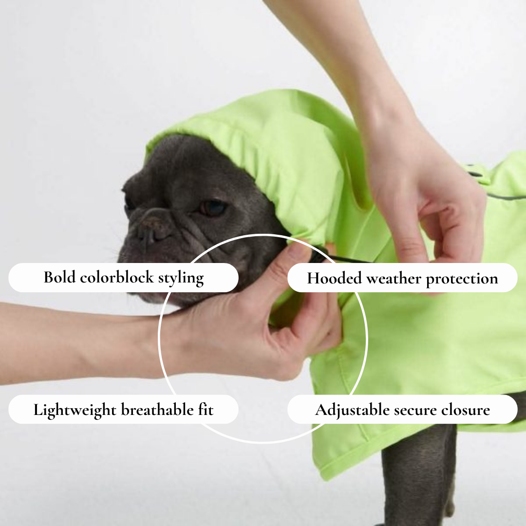 Colourblock hooded Dog Coat