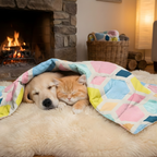 Modern Geometric Pet Quilt