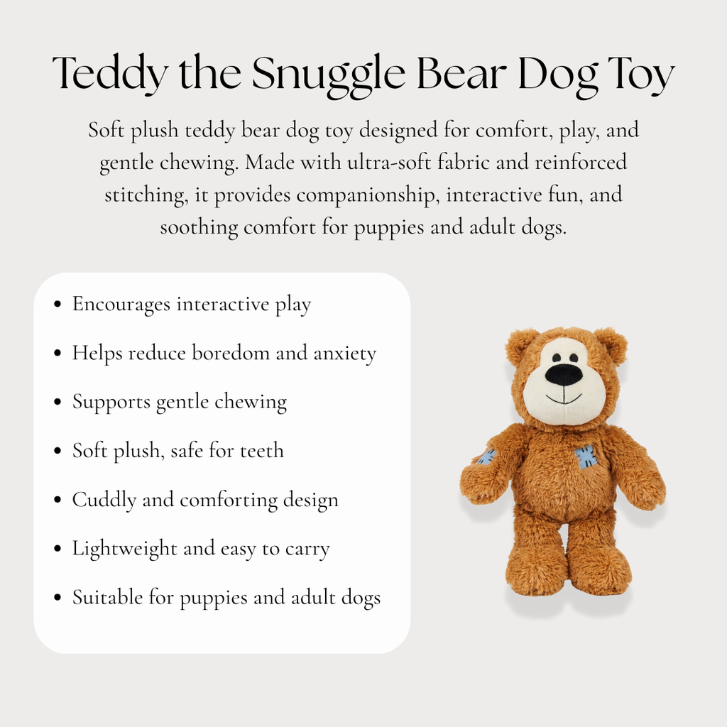 Teddy the Snuggle Bear Dog Toy