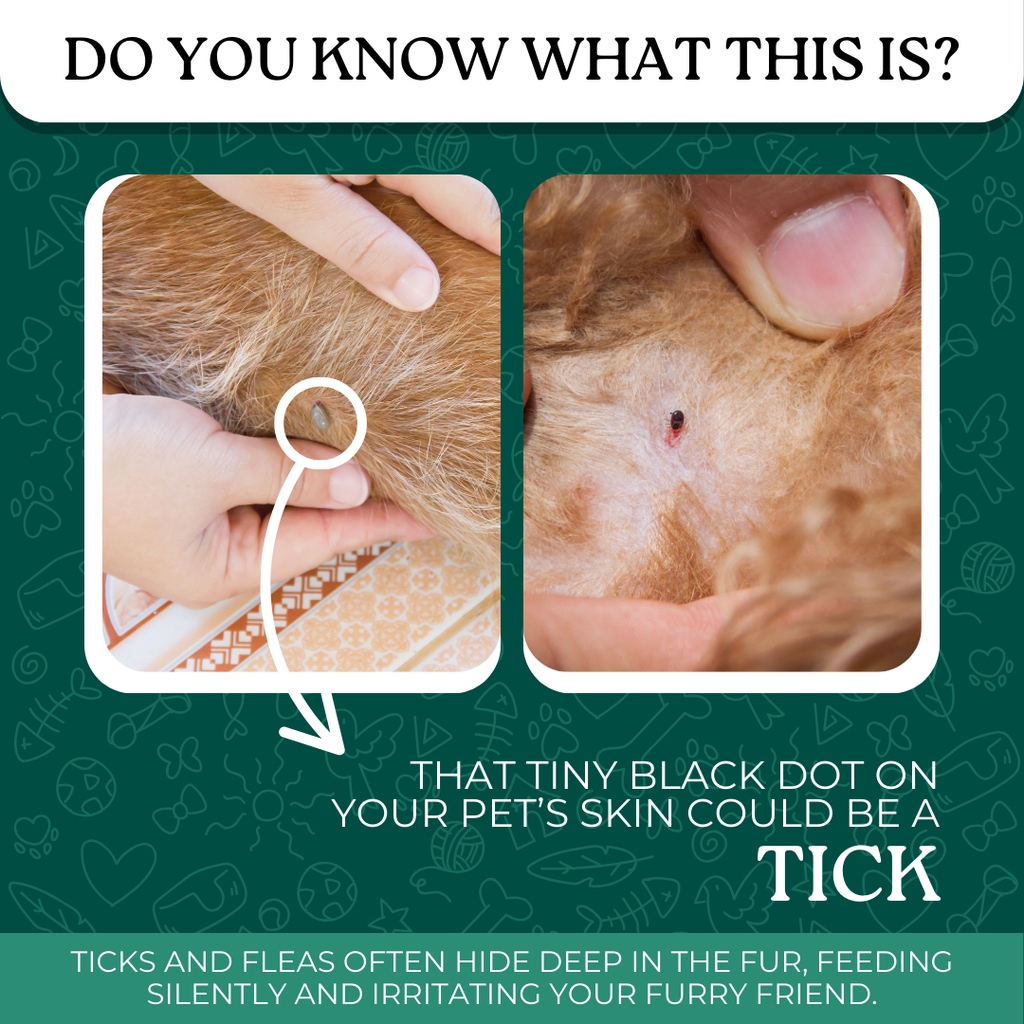 Tick and Flea Spray
