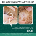 Tick and Flea Spray