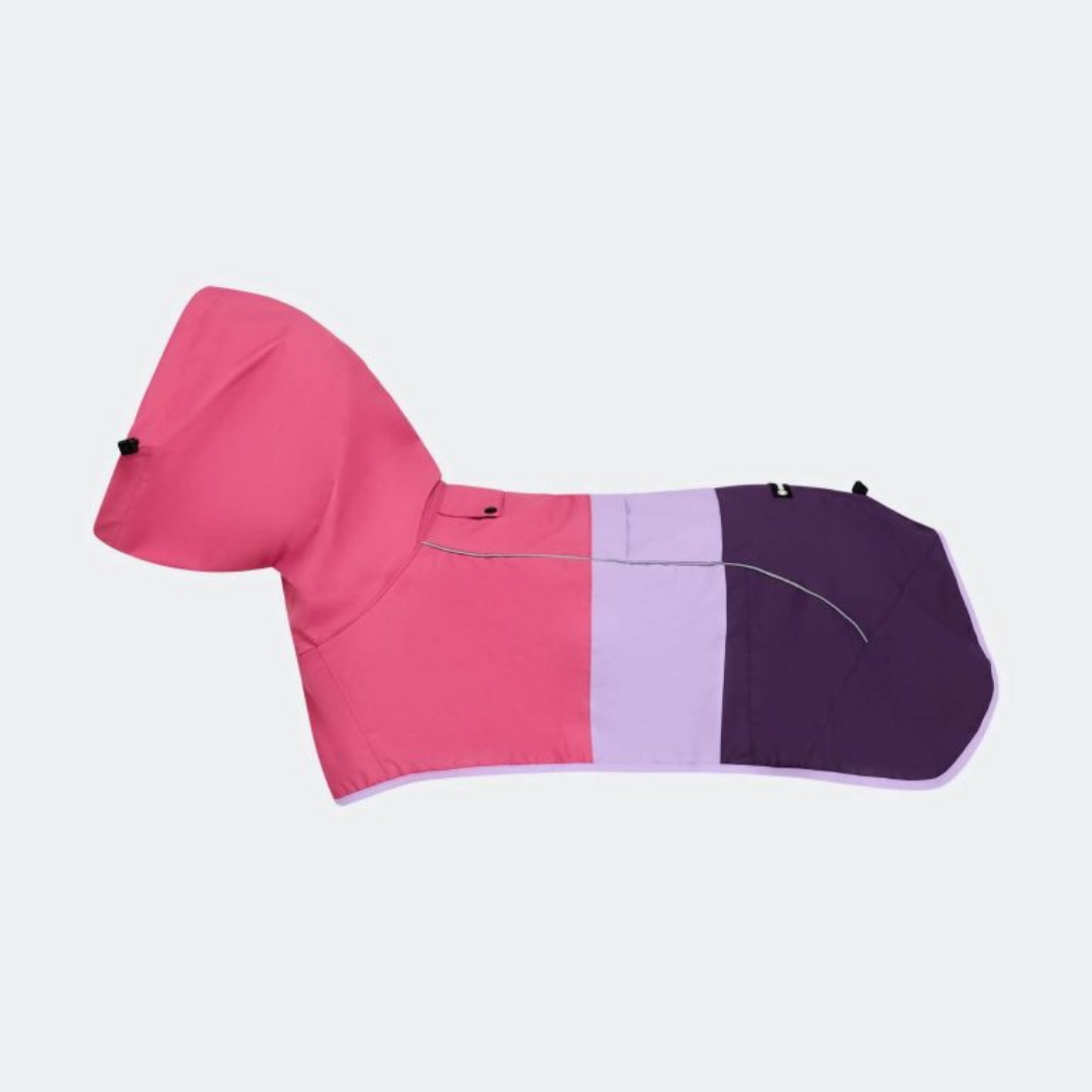 Colourblock Hooded Dog Coat