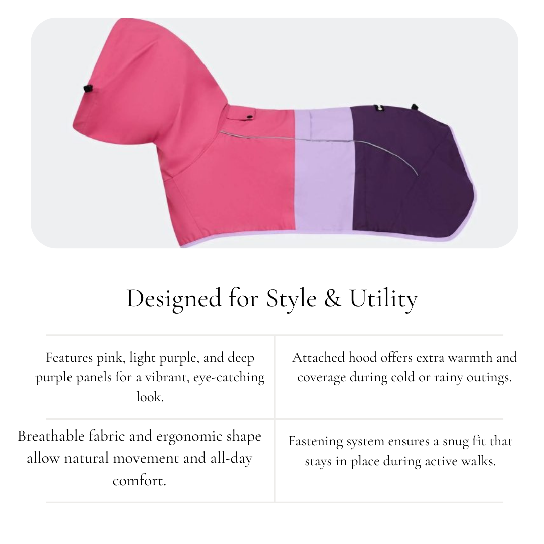 Colourblock Hooded Dog Coat