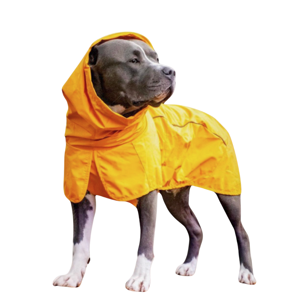 Bright Orange Hooded Raincoat