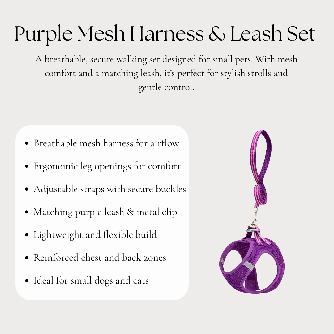 Purple Mesh Harness & Leash Set