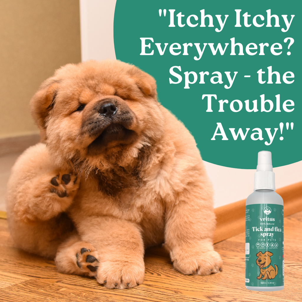 Tick and Flea Spray