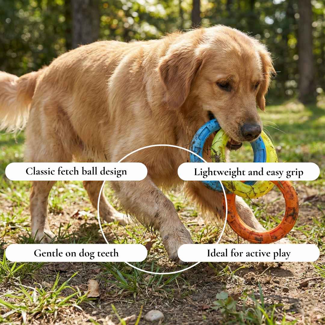 Tough Ring Dog Chew & Fetch Toy
