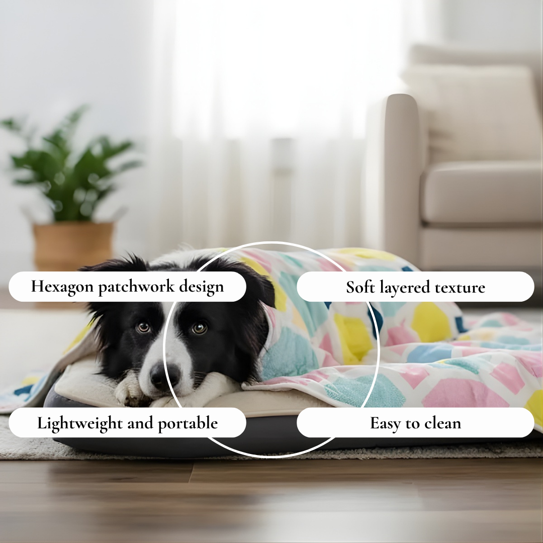 Modern Geometric Pet Quilt