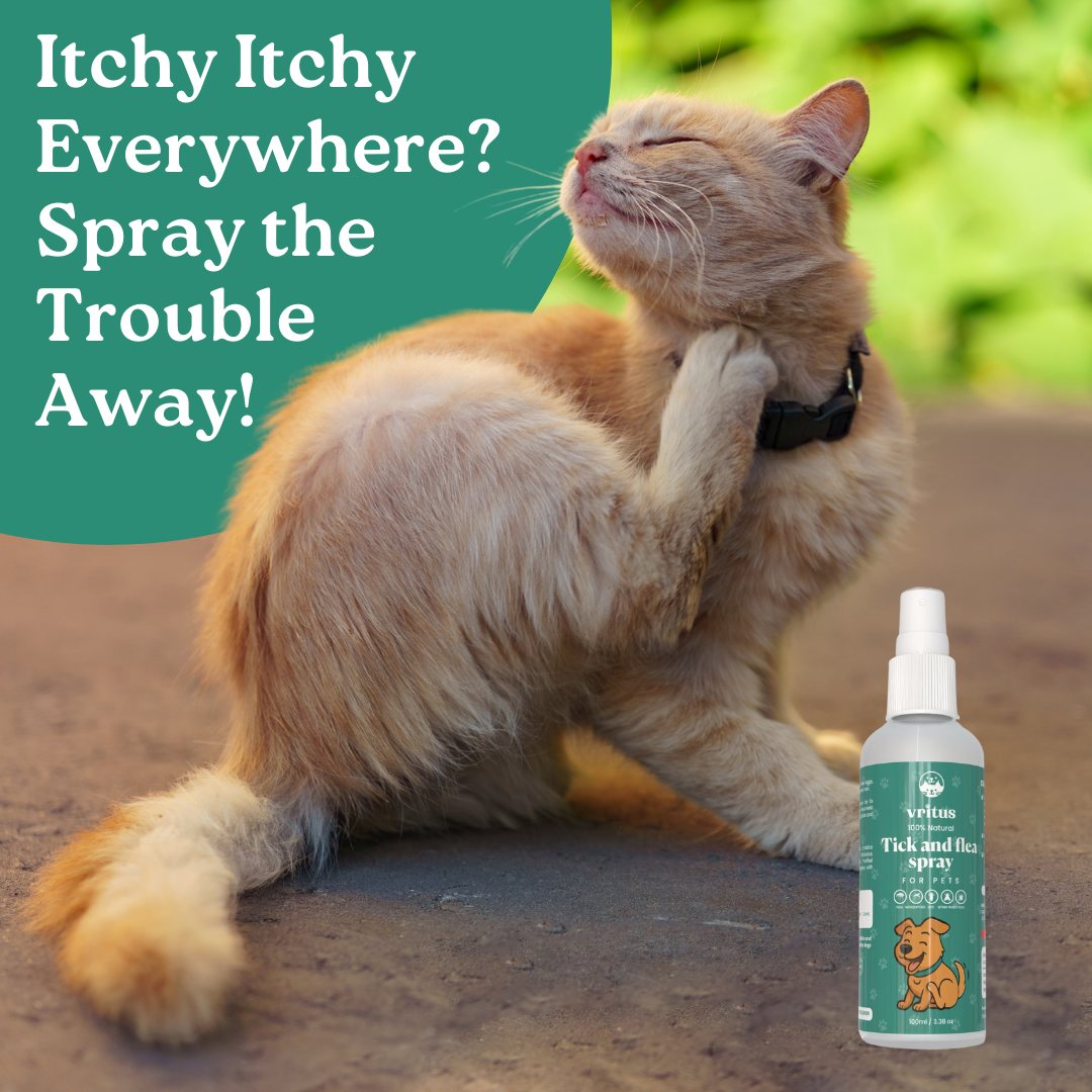 Tick and Flea Spray