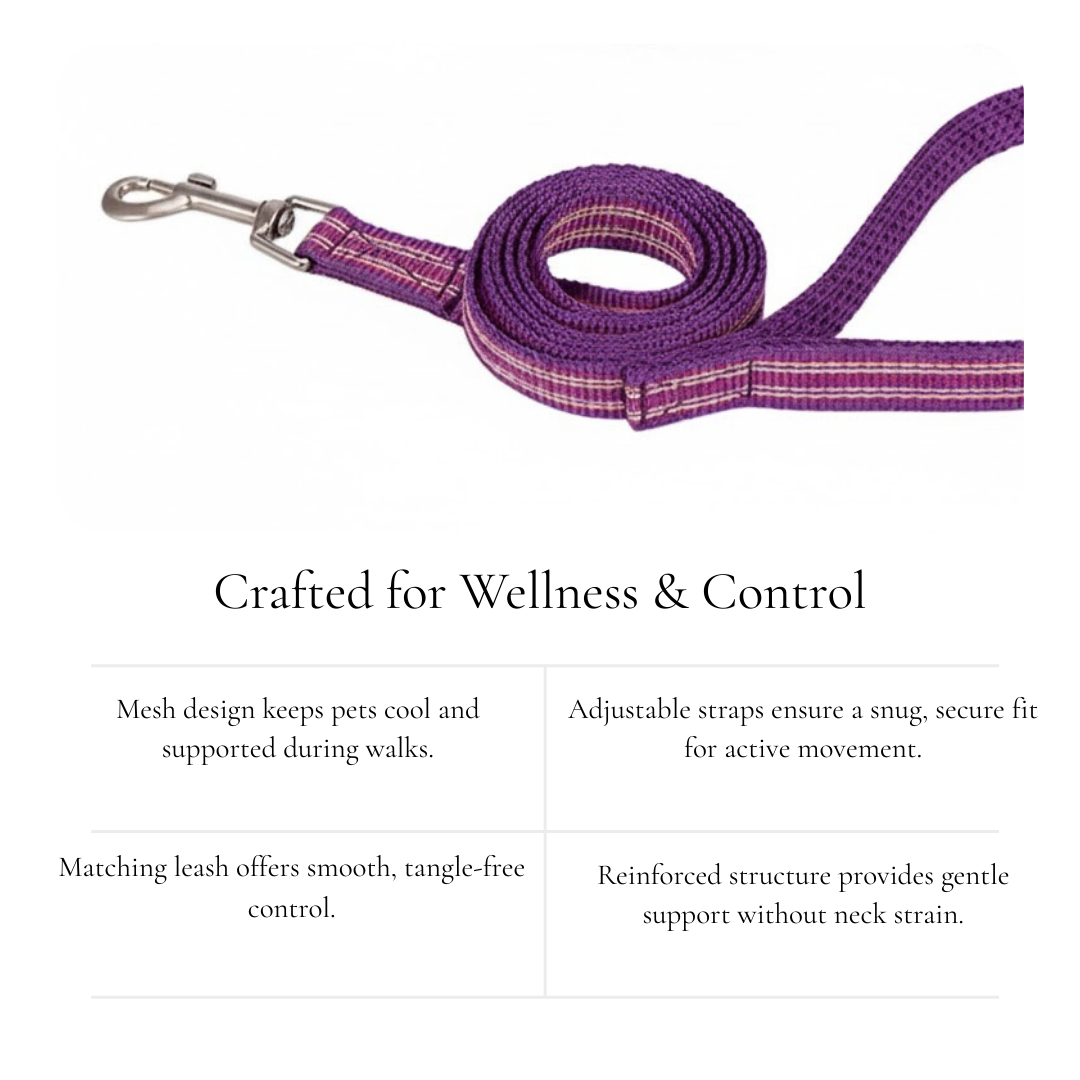 Purple Mesh Harness & Leash Set