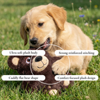Bear Buddy Plush Dog Toy