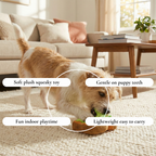 Plush Snuffle Treat Dog Toy