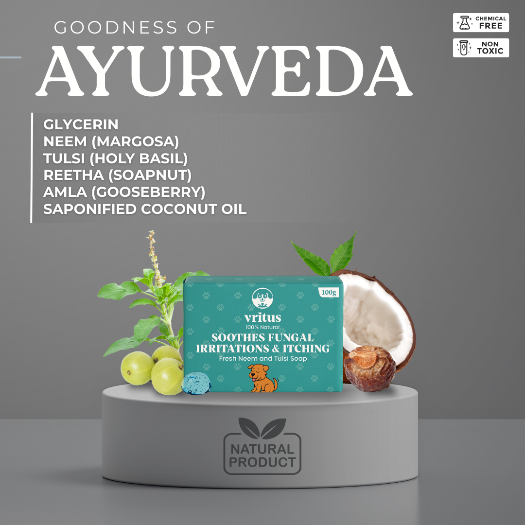 Fungal Irritation & Itching Soap | 100g