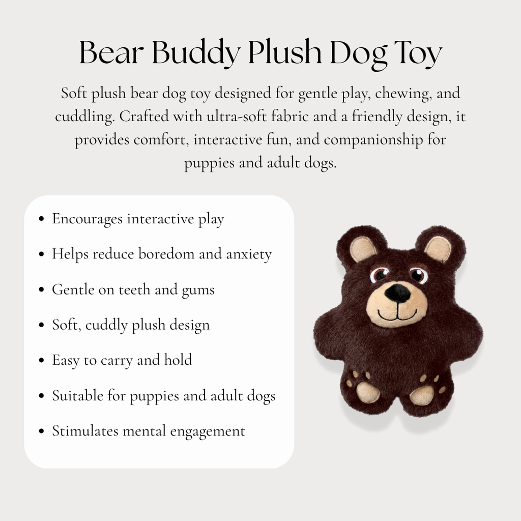Bear Buddy Plush Dog Toy