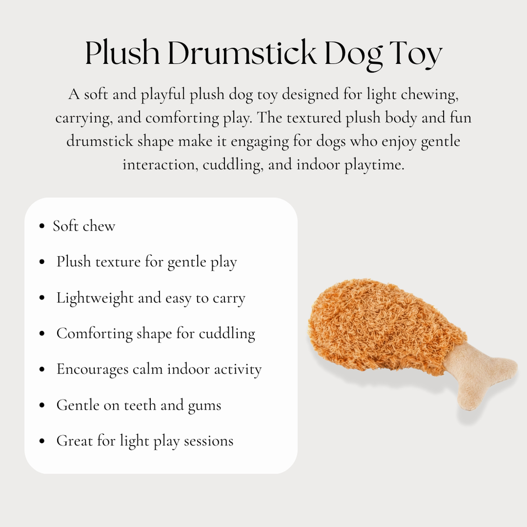 Plush Drumstick Dog Toy