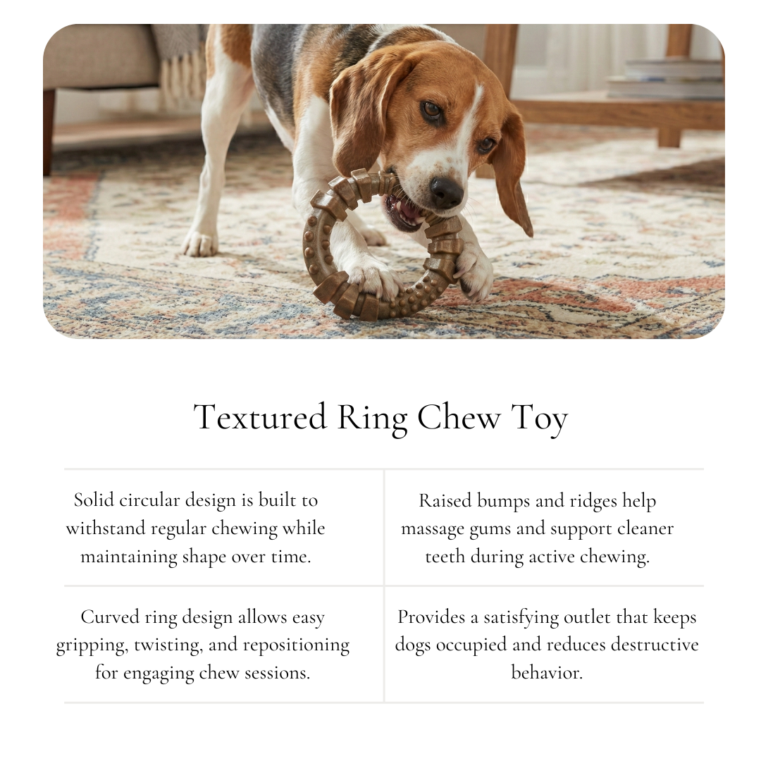 Textured Chew Ring Dog Toy