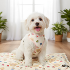 Jelly Bean Print Harness