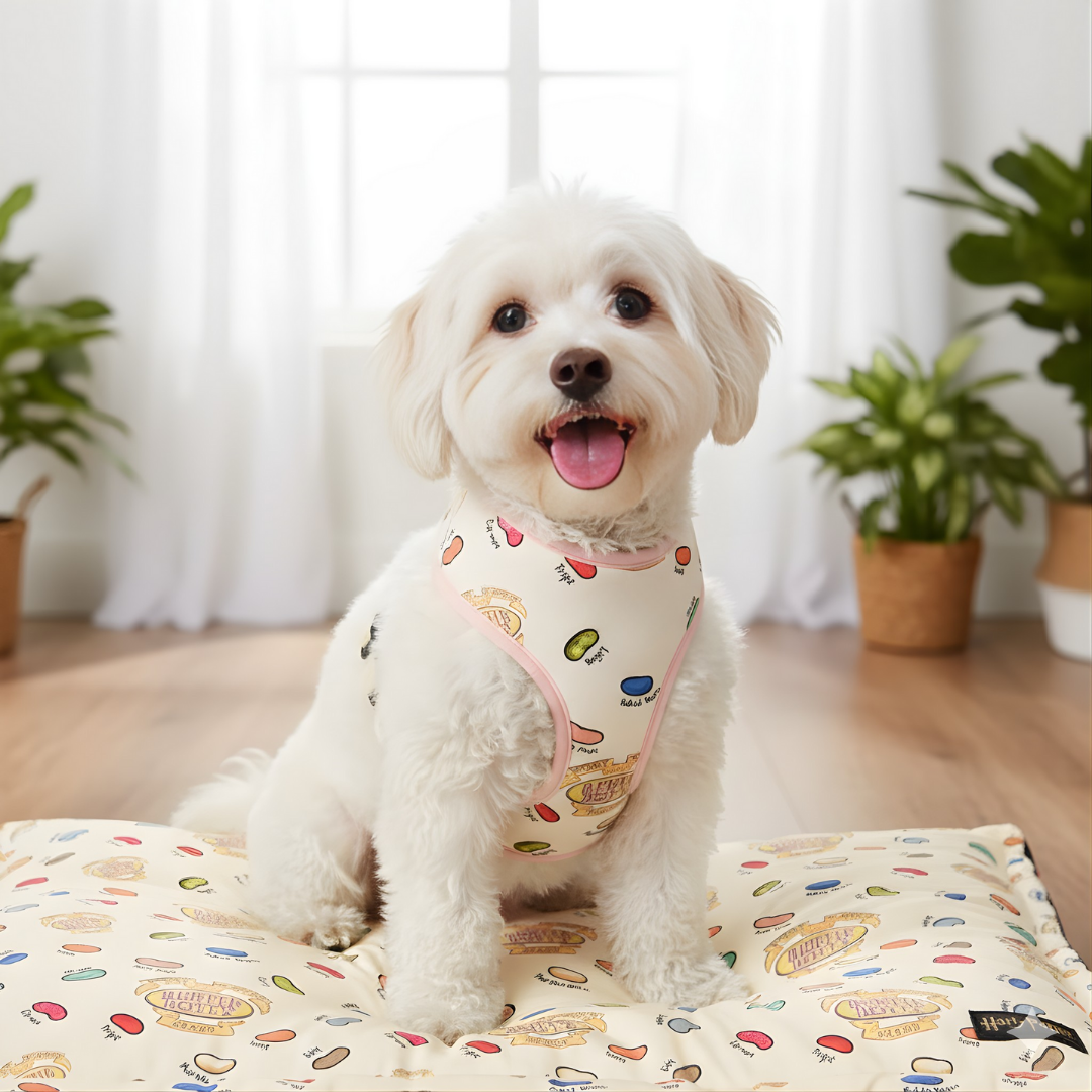 Jelly Bean Print Harness