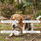 Textured Chew Ring Dog Toy