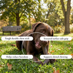 Durable Antler-Style Chew Dog Toy