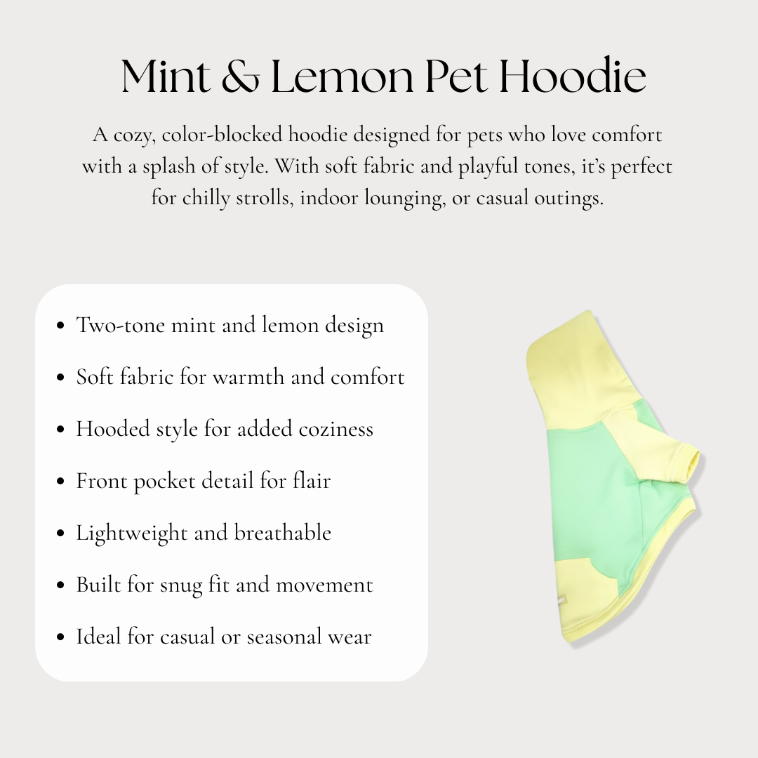 Mint & Lemon Pet Hoodie