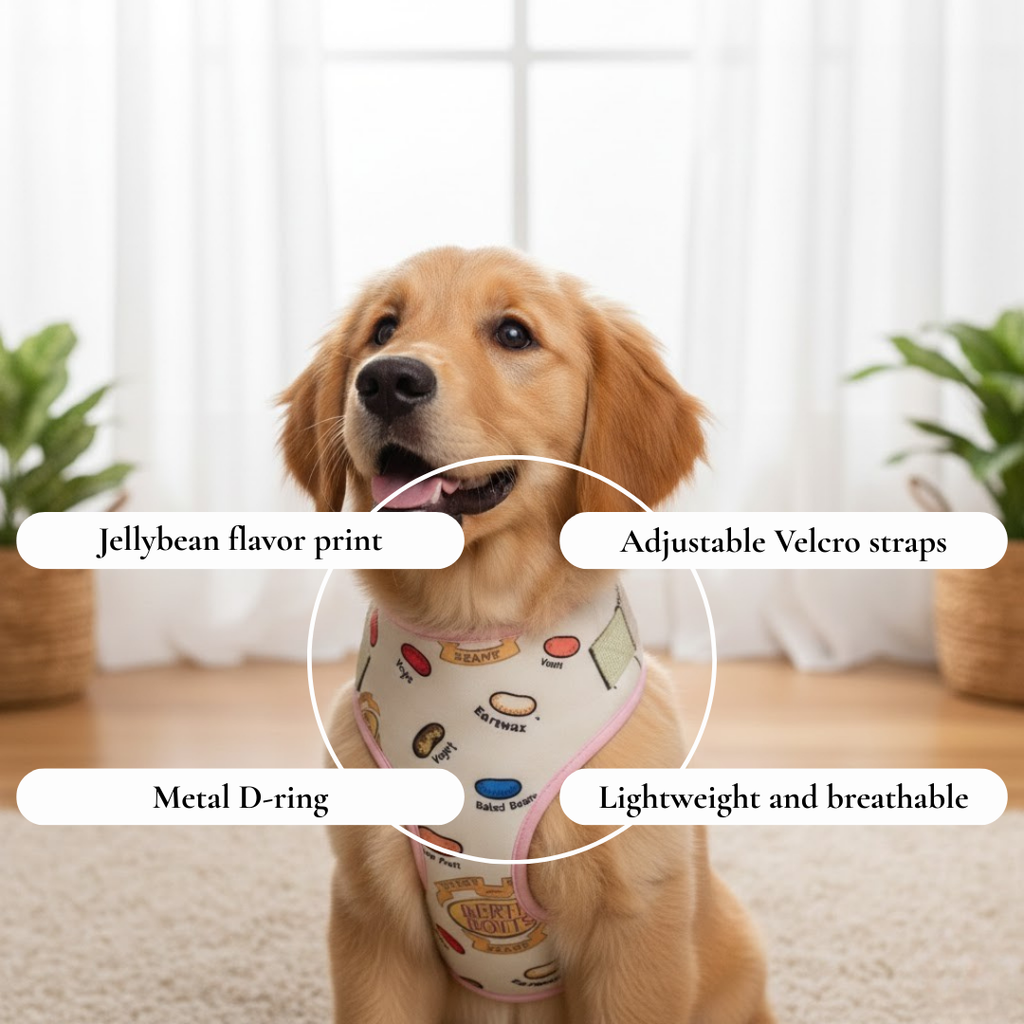 Jelly Bean Print Harness
