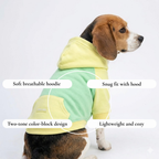 Mint & Lemon Pet Hoodie