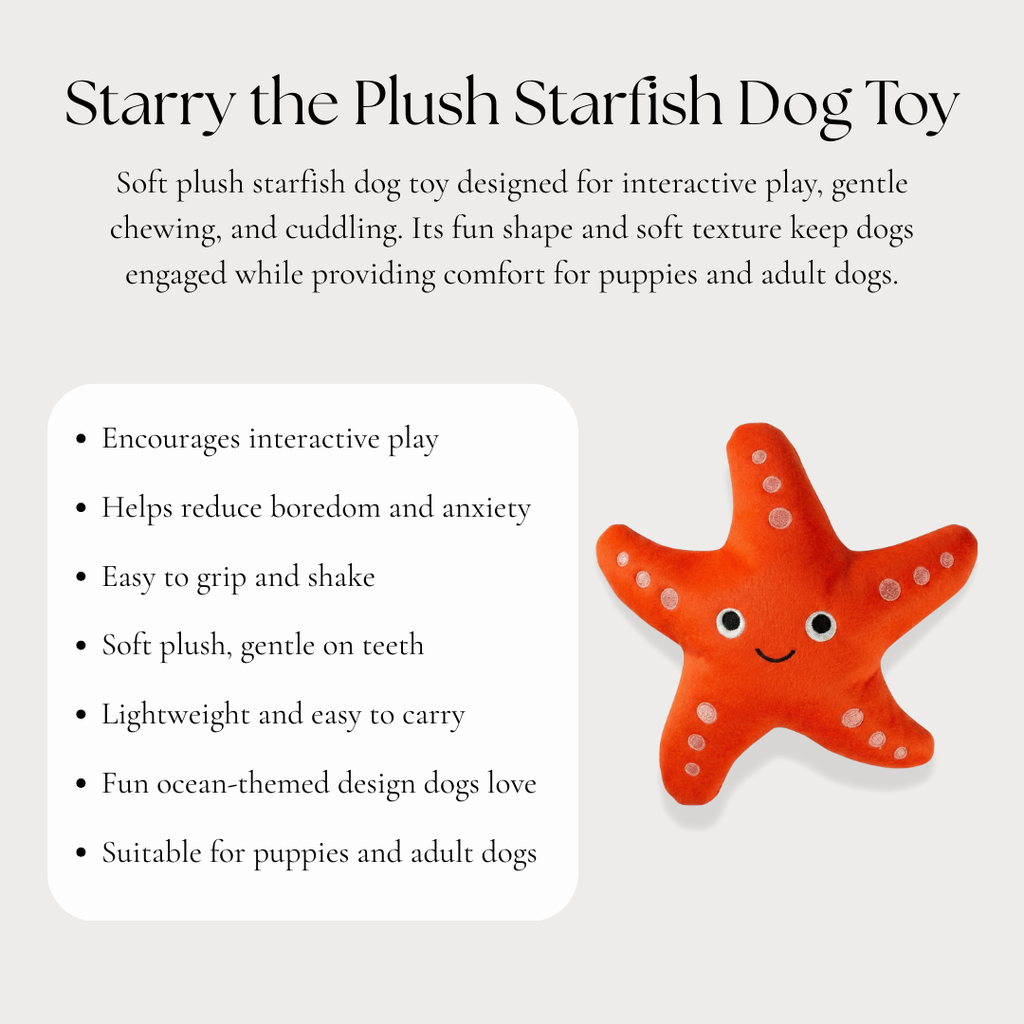 Starry the Plush Starfish Dog Toy