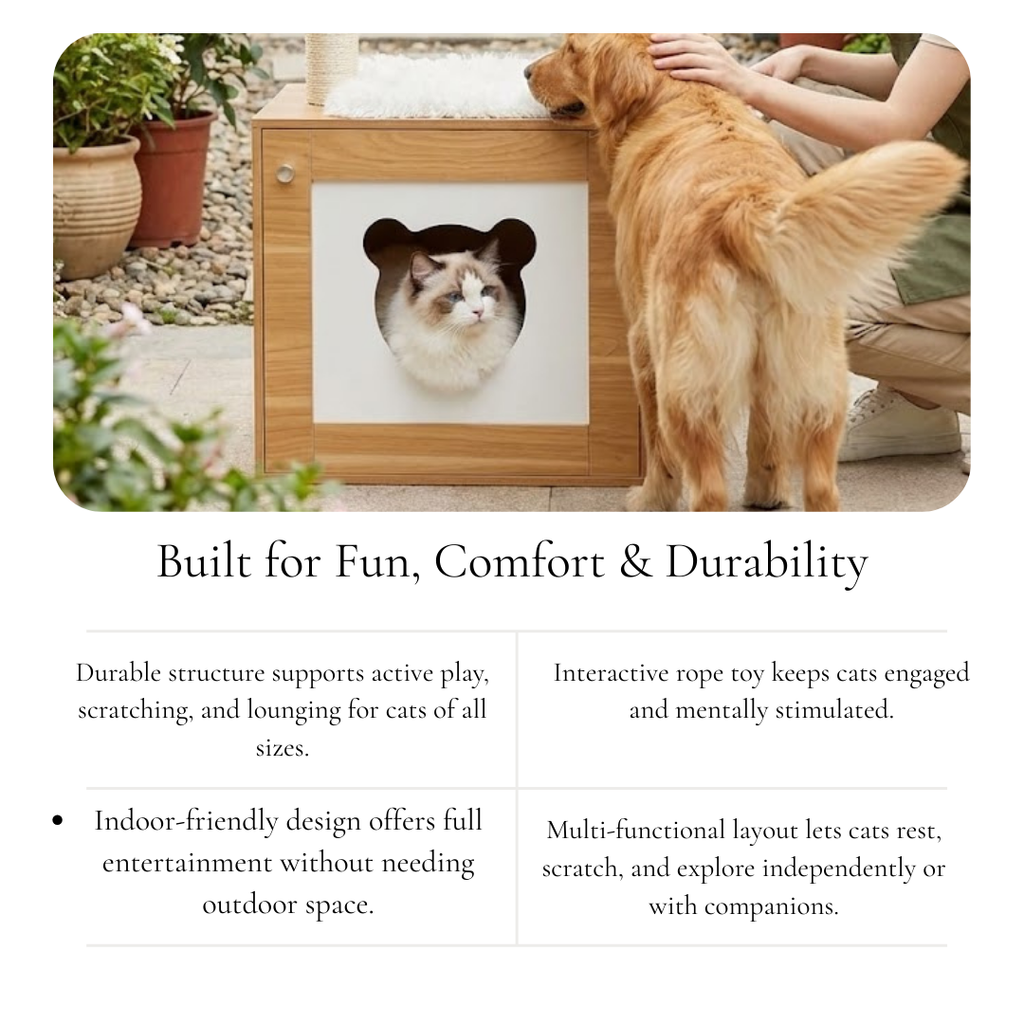 Cat Haven Multi-Level Tower