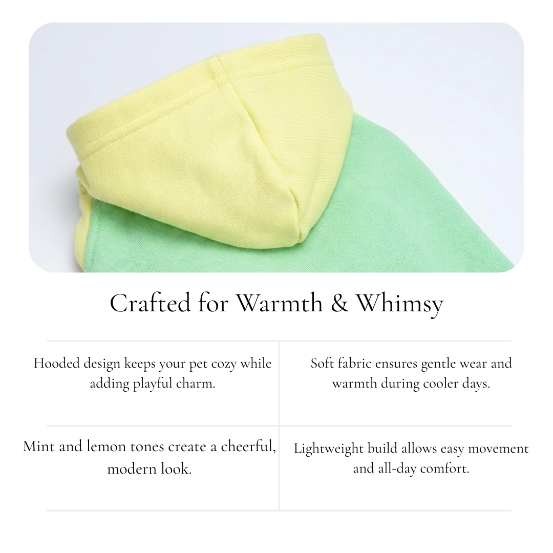 Mint & Lemon Pet Hoodie