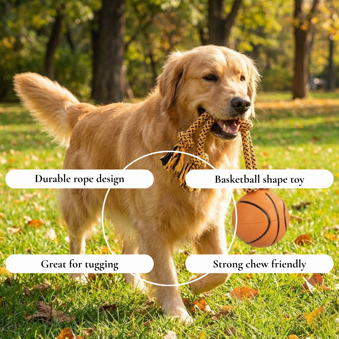 Rubber Basketball Rope Dog Toy