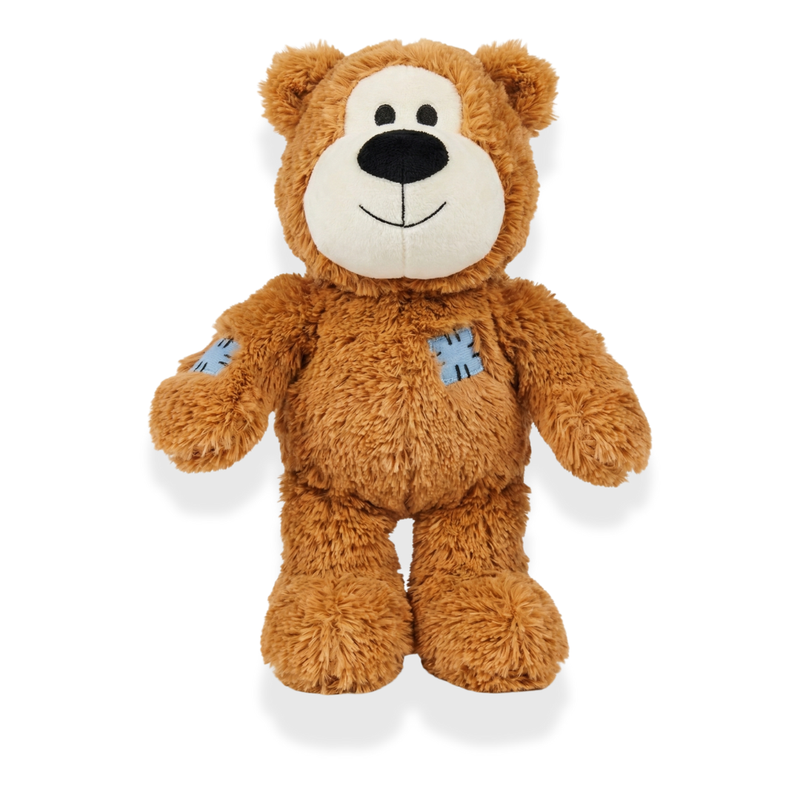 Teddy the Snuggle Bear Dog Toy