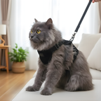 Black Mesh Pet Harness