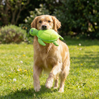 Shelly The Snuggle Turtle Pet Toy