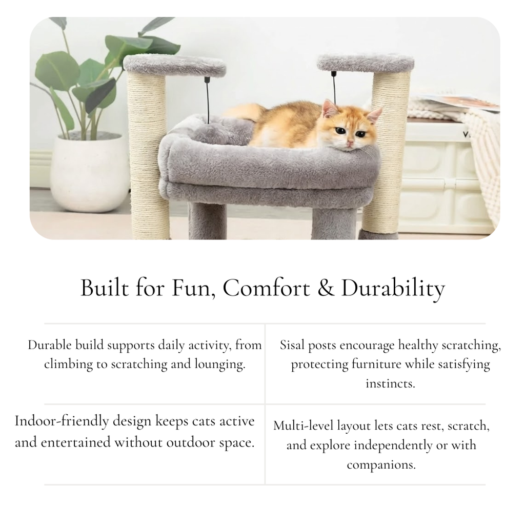 Cushioned Cat Tree for Comfort