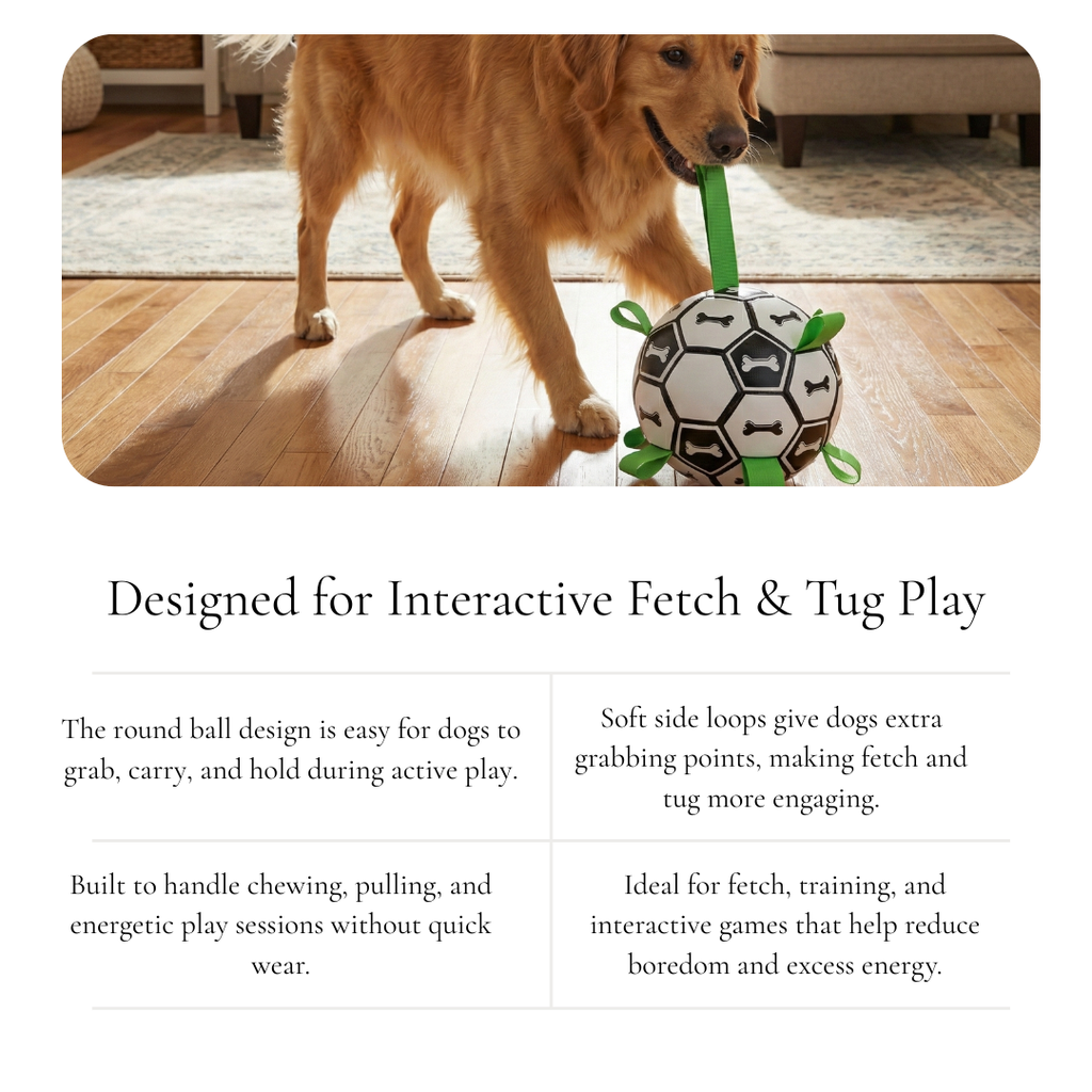 Interactive Soccer Tug Dog Ball