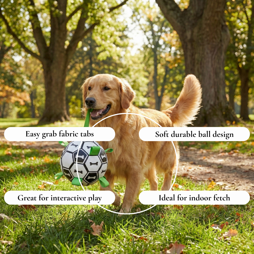 Interactive Soccer Tug Dog Ball