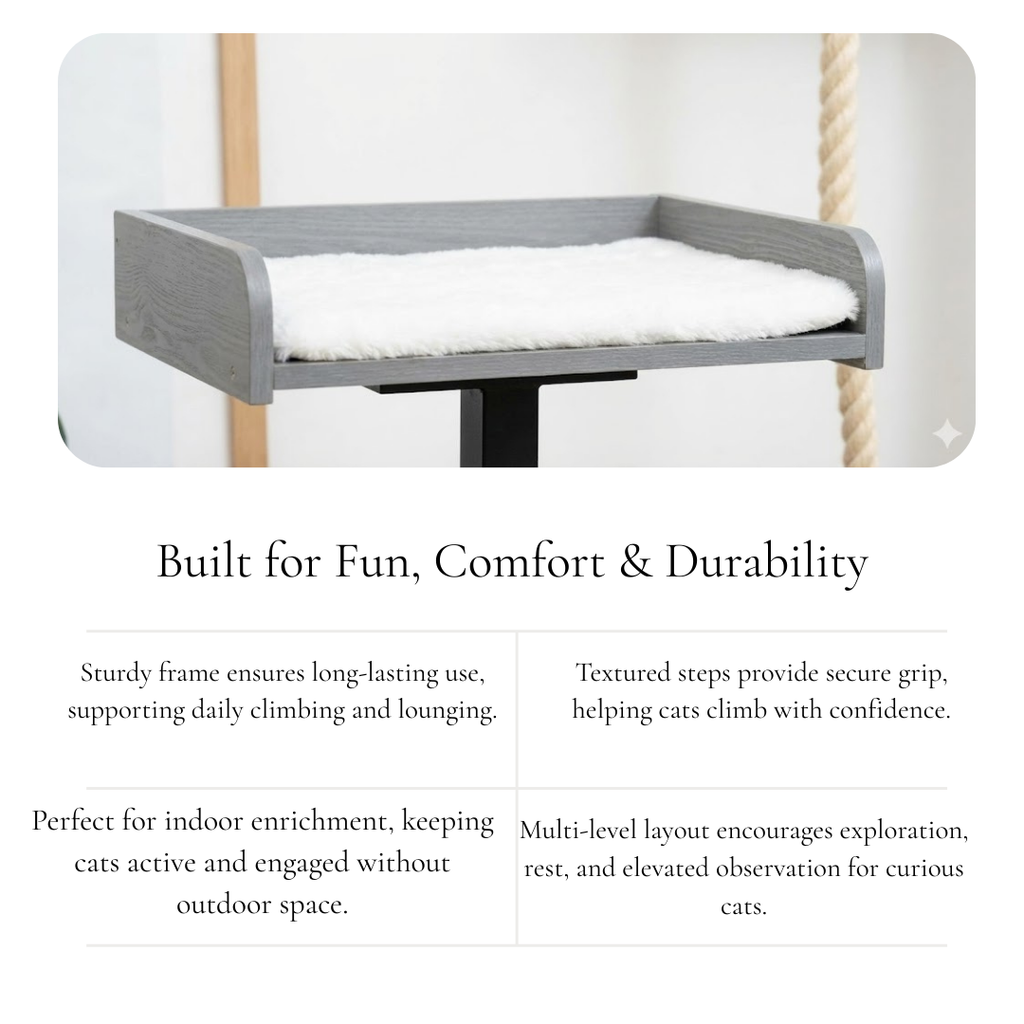 Climb Lounge & Observe Station