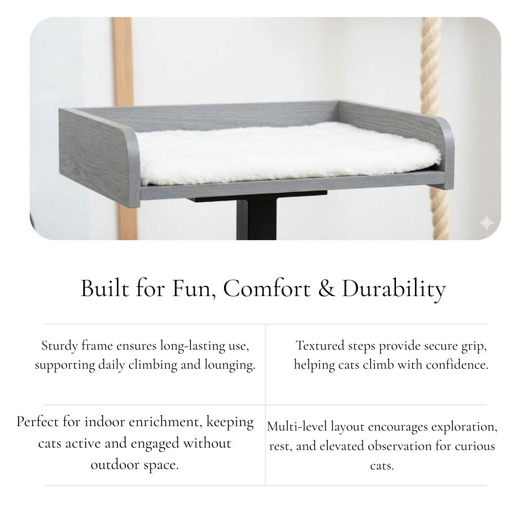 Climb Lounge & Observe Station