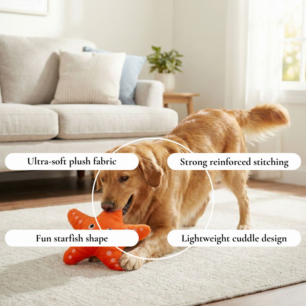 Starry the Plush Starfish Dog Toy