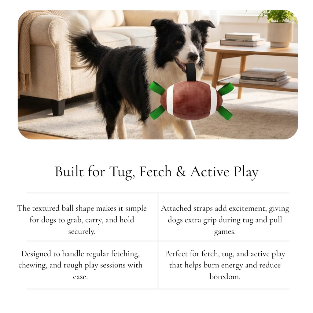 Interactive  Football Dog Toy