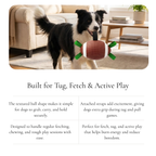 Interactive  Football Dog Toy